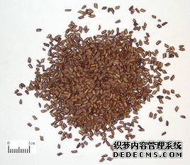 決明子-上海牧童游樂玩具有限公司